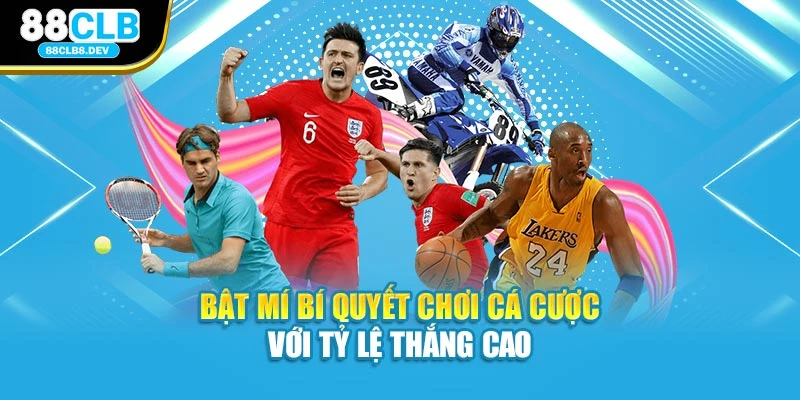 Bật mí bí quyết chơi cá cược với tỷ lệ thắng cao