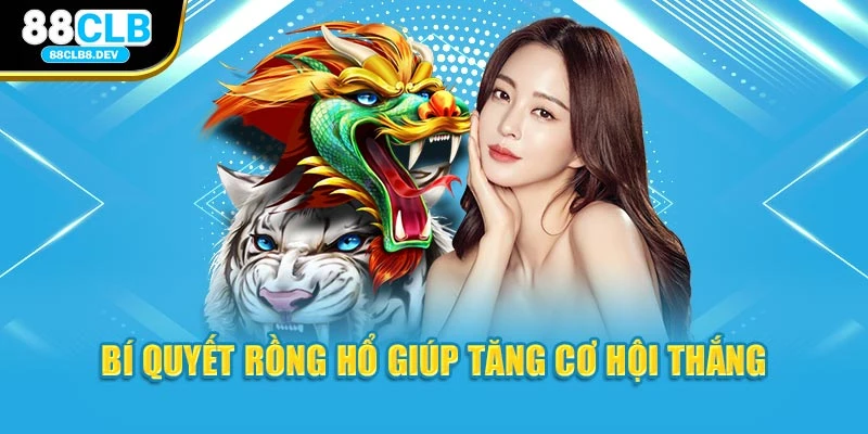 Bí quyết Rồng Hổ giúp tăng cơ hội thắng