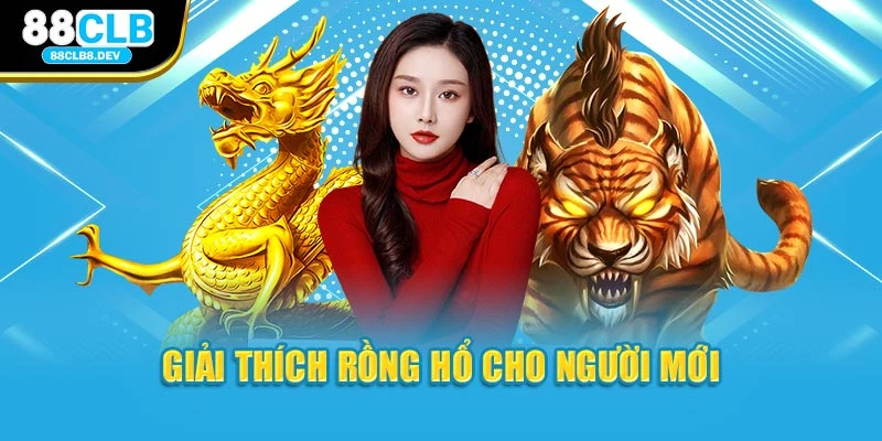 Giải thích Rồng Hổ cho người mới