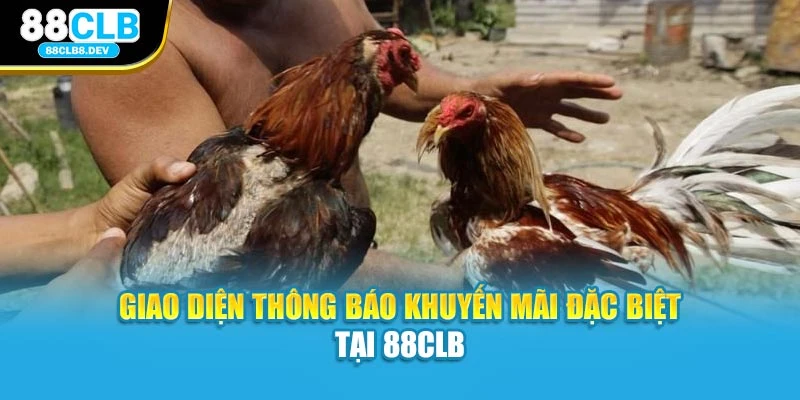 Giao diện thông báo khuyến mãi đặc biệt tại 88clb