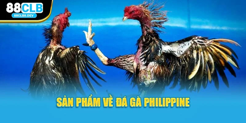 Sản phẩm về đá gà Philippine